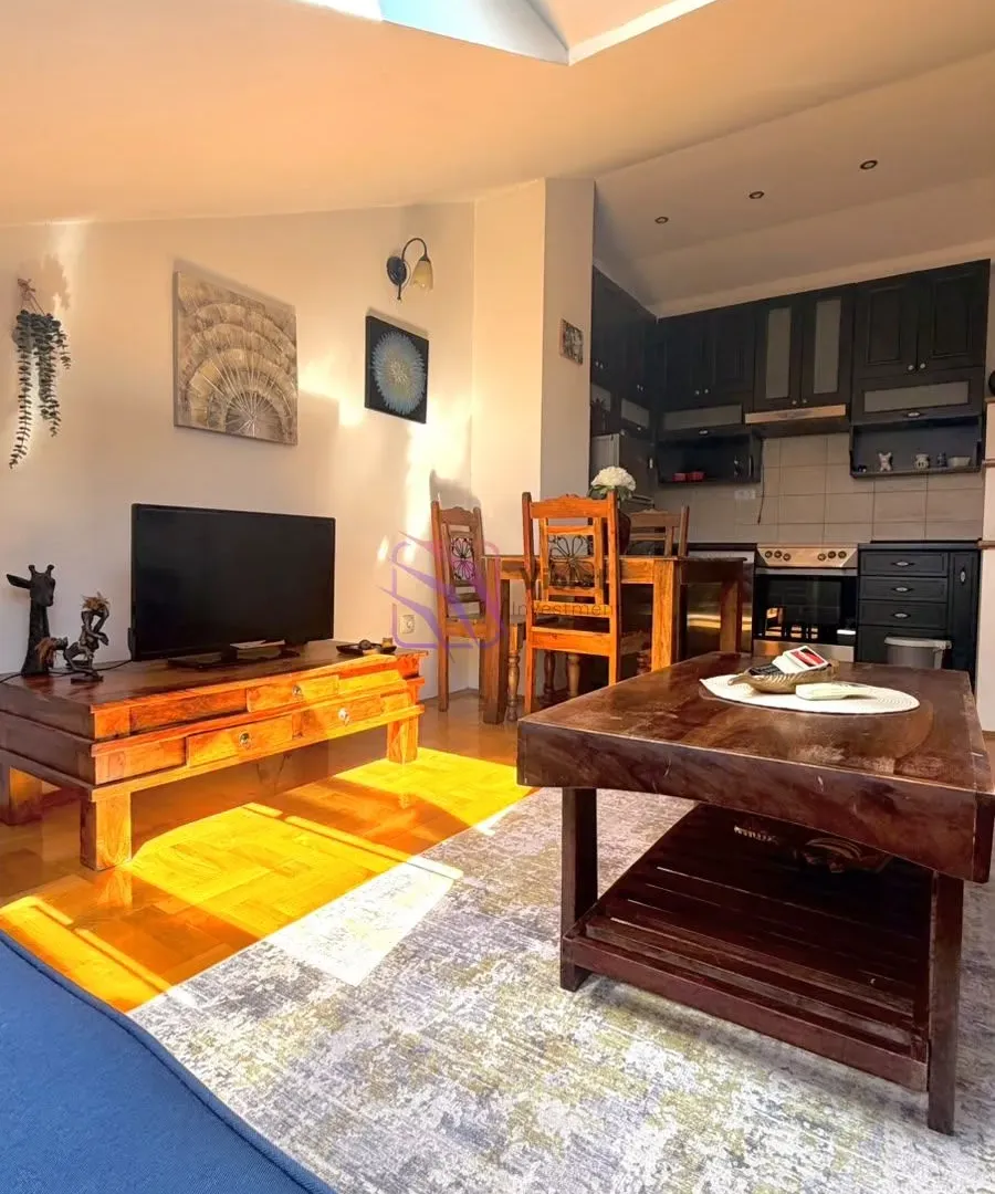 Rent, one bedroom apartment, 45m², Vezirov Most, Podgorica