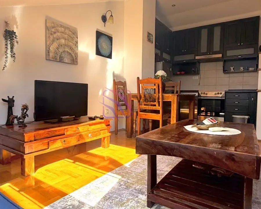 Rent, one bedroom apartment, 45m², Vezirov Most, Podgorica