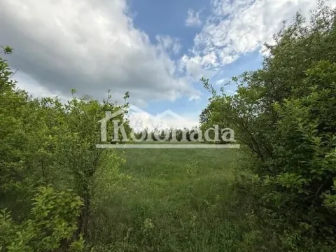 Sale, land lot, 5436m², Amerić, Mladenovac - image 5