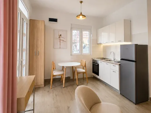 Rent, studio apartment, 25m², Momišići, Podgorica - image 5