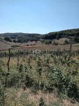 Prodaja, kuća, 30m², Lučani, Srbija - image 12