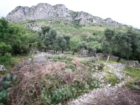 Sale, land lot, 2650m², Reževići, Budva - image 3