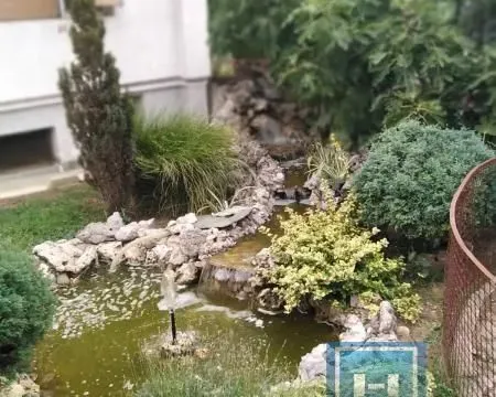 Prodaja, kuća, 330m², Pivara, Kragujevac - image 4