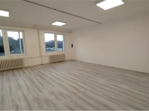 Izdavanje, poslovni prostor, 886m², Apelovac, Niš - image 7