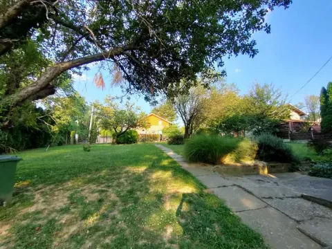 Prodaja, kuća, 240m², Sremska Kamenica, Petrovaradin - image 5