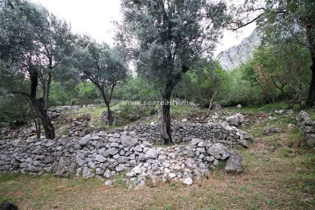 Prodaja, plac, 2600m², Reževići, Budva