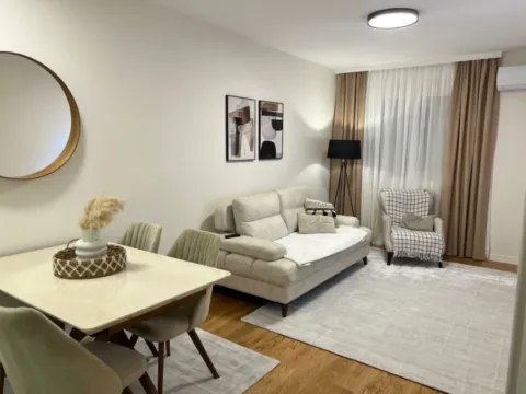 Izdavanje, jednosoban stan, 47m², Central Point, Podgorica - image 7