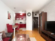 Rent, one bedroom apartment, 43m², City Kvart, Podgorica - image 1