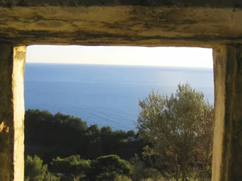 Prodaja, plac, 11246m², Budva, Crna Gora - image 11