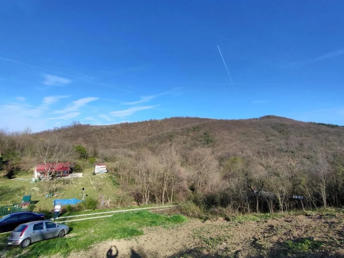 Prodaja, plac, 1300m², Beočin, Srbija