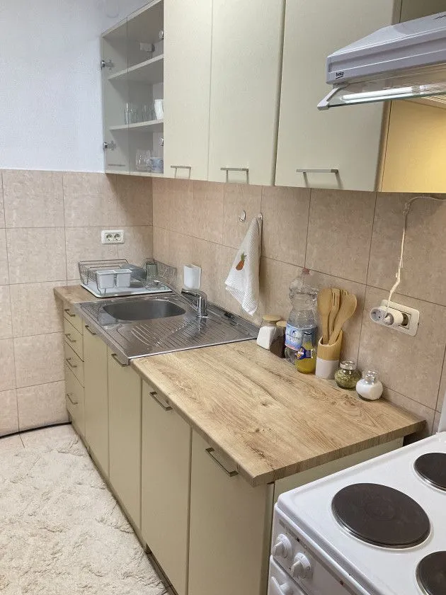 Rent, one bedroom apartment, 54m², Vezirov Most, Podgorica