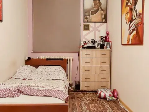 Prodaja, trosoban stan, 85m², Aleksinac, Niš - image 7