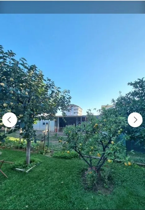 Prostrano dvorište sa zelenim travnjakom i voćkama pod vedrim nebom.