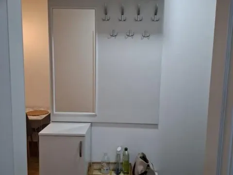 Izdavanje, jednosoban stan, 33m², Novi Sad, Srbija - image 4