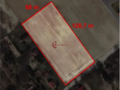 Prodaja, plac, 8356m², Makova Sedmica, Subotica