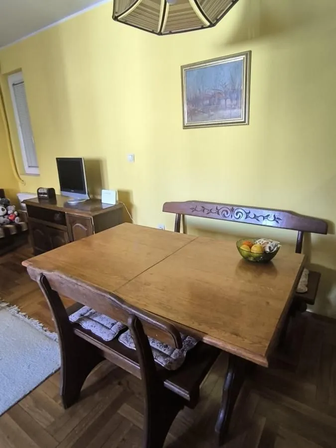 Izdavanje, jednosoban stan, 45m², Grbavica, Novi Sad Sve Podlokacije