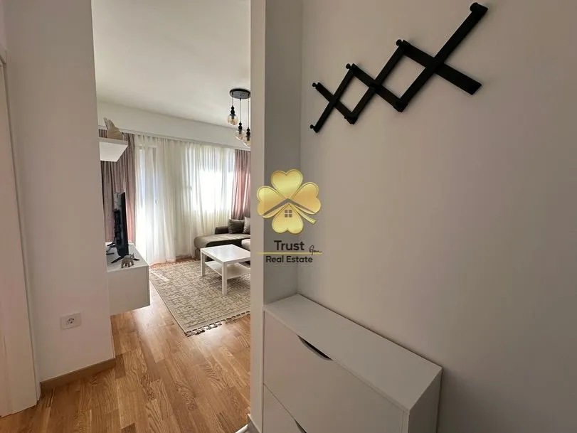 Rent, one bedroom apartment, 40m², Zabjelo, Podgorica