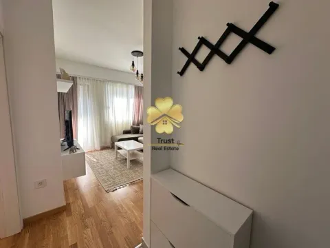 Izdavanje, jednosoban stan, 40m², Zabjelo, Podgorica - image 9