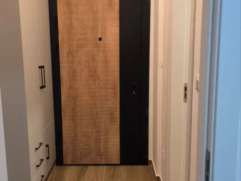 Izdavanje, jednosoban stan, 37m², Tološi, Podgorica - image 11