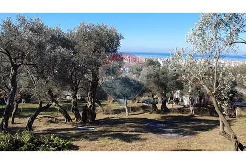 Prodaja, plac, 837m², Kunje, Bar