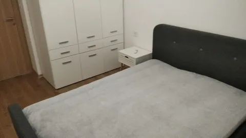 Izdavanje, jednosoban stan, 55m², Ljubović, Podgorica - image 8