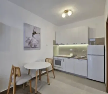 Izdavanje, garsonjera, 25m², Momišići, Podgorica - image 4