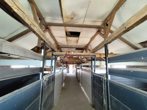 Prodaja, kuća, 450m², Makova Sedmica, Subotica - image 25