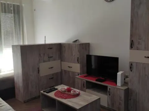 Rent, one bedroom apartment, 43m², Centar, Niš
