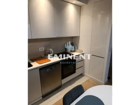 Izdavanje, dvosoban stan, 59m², Savski Venac, Beograd - image 5