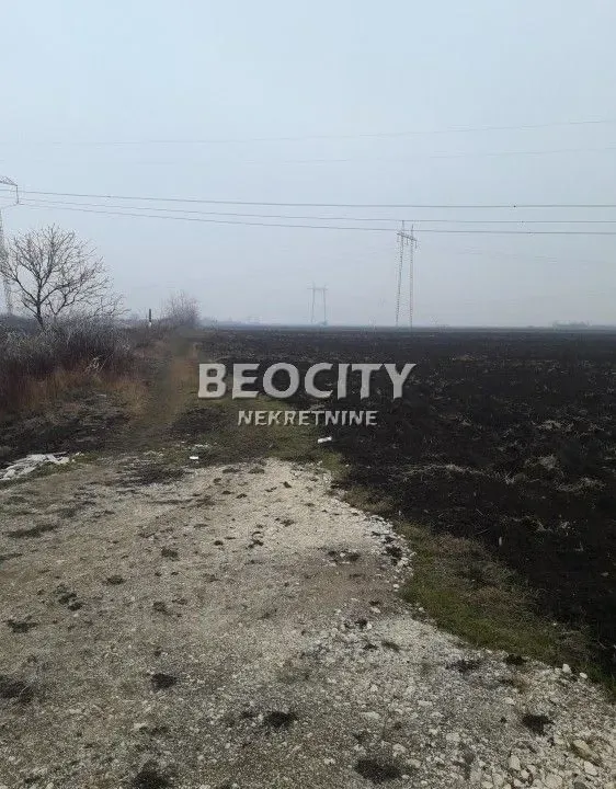 Sale, land lot, 140m², Šimanovci, Pećinci