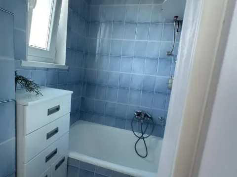 Izdavanje, dvosoban stan, 38m², Partizanov Stadion, Beograd - image 8