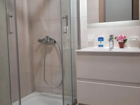 Izdavanje, garsonjera, 25m², Master Kvart, Podgorica - image 6