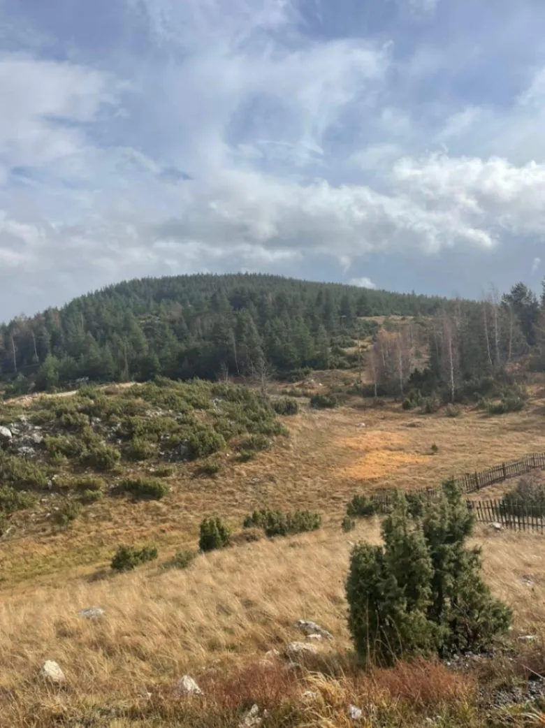 Prodaja, plac, 23000m², Žabljak, Crna Gora
