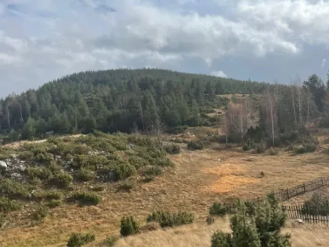 Prodaja, plac, 23000m², Žabljak, Crna Gora - image 4