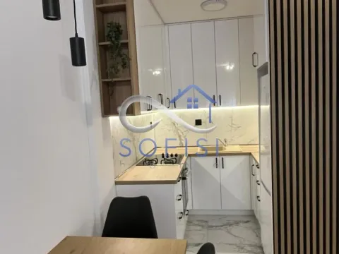 Izdavanje, jednosoban stan, 43m², Avijatičarsko naselje, Novi Sad Sve Podlokacije - image 4