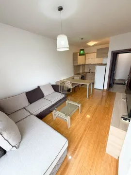 Rent, one bedroom apartment, 45m², Zabjelo, Podgorica - image 5