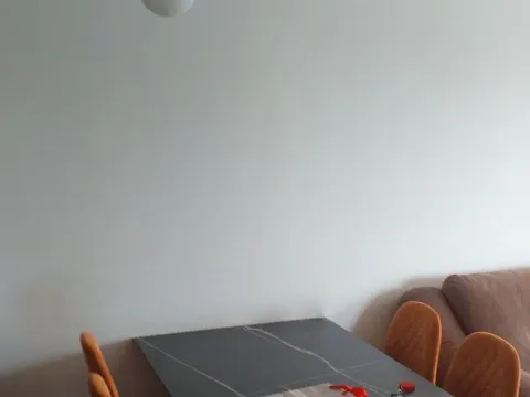 Rent, one bedroom apartment, 43m², Zabjelo, Podgorica - image 5