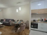 Izdavanje, jednosoban stan, 40m², Central Point, Podgorica - image 5