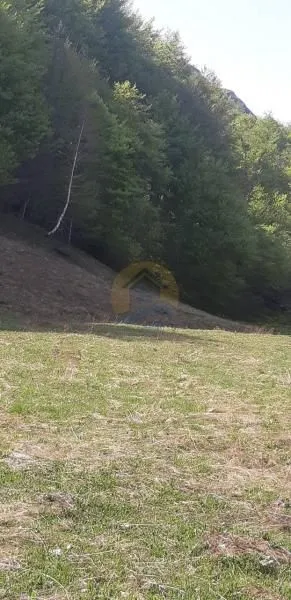 Prodaja, plac, 6692m², Kolašin, Crna Gora