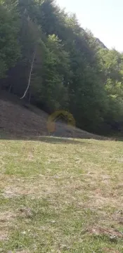 Prodaja, plac, 6692m², Kolašin, Crna Gora - image 7