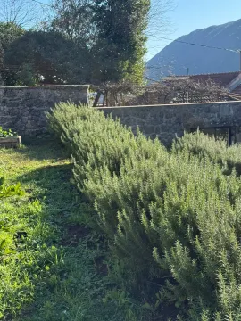 Dvorište sa zelenilom i kamenim zidom. - image 8