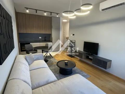 Izdavanje, dvosoban stan, 42m², Centar, Novi Sad - image 2