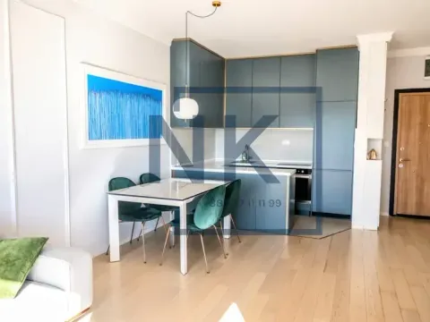 Izdavanje, jednosoban stan, 47m², Centar, Podgorica - image 3