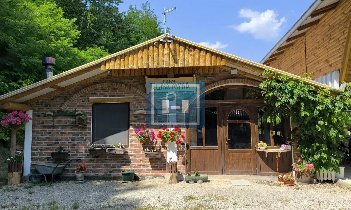 Sale, hospitality venue, 250m², Despotovac, Srbija