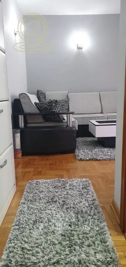 Izdavanje, dvosoban stan, 40m², Vračar Sve Podlokacije, Beograd