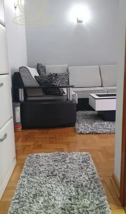 Izdavanje, dvosoban stan, 40m², Vračar Sve Podlokacije, Beograd