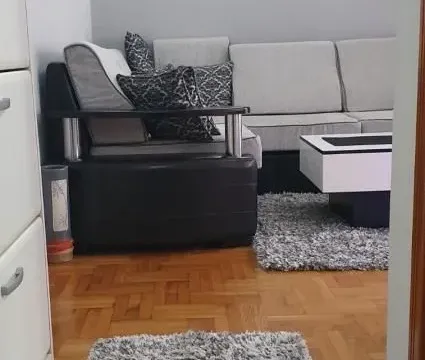 Izdavanje, dvosoban stan, 40m², Vračar Sve Podlokacije, Beograd - image 1