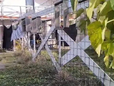 Izdavanje, kuća, 180m², Čukarica, Beograd - image 5