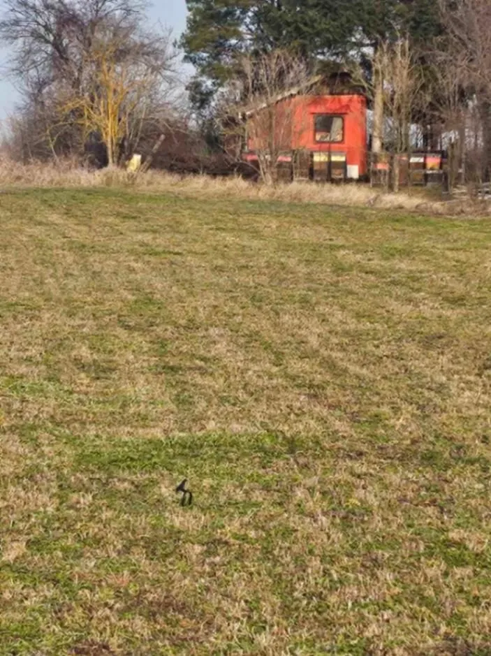 Prodaja, plac, 881m², Pavliš, Vršac