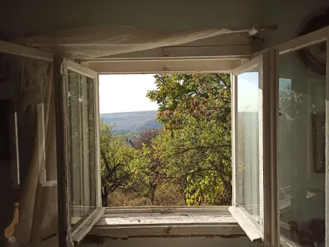Pogled kroz otvoreni prozor na zeleno drveće i prirodu. - image 11
